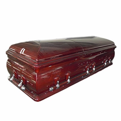 Stoidhle Ameireaganach Pasgan Coille Paulownia Inbheach